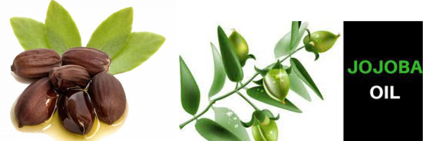 JOJOBA